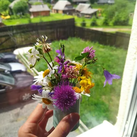 Guest house еко-садиба сова бубу